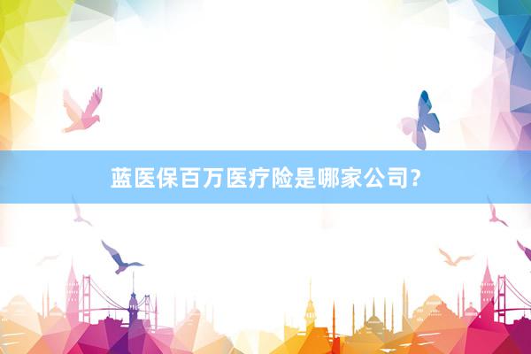 蓝医保百万医疗险是哪家公司？