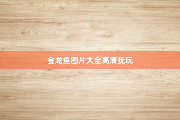 金龙鱼图片大全高清抚玩