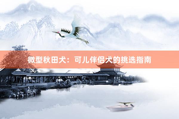 微型秋田犬：可儿伴侣犬的挑选指南